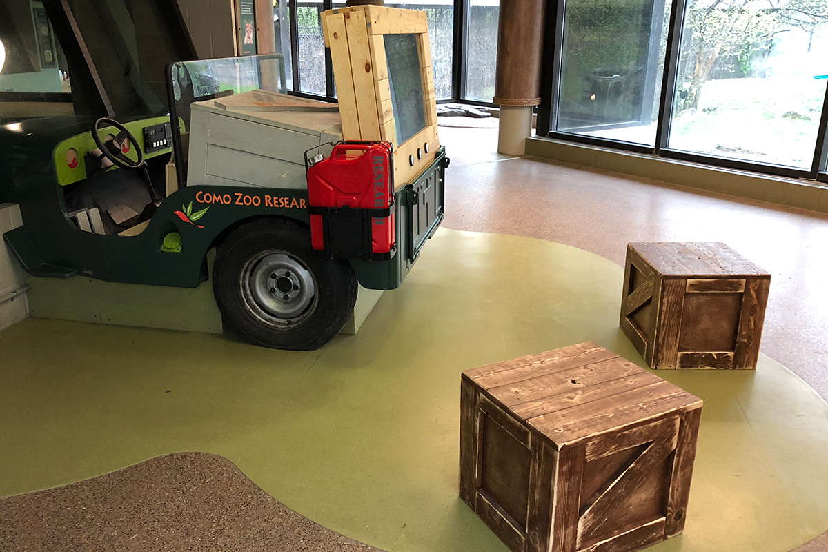 large cats jeep